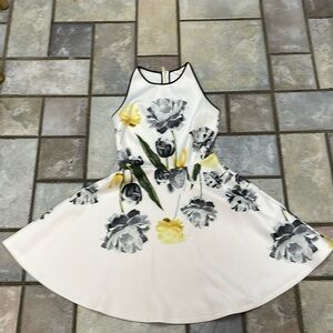 Ted Baker London Floral Skater Dress